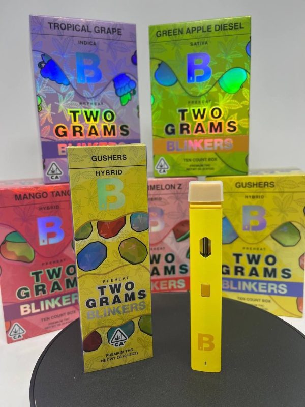 HITTING BLINKERS 2G DISPOSABLE