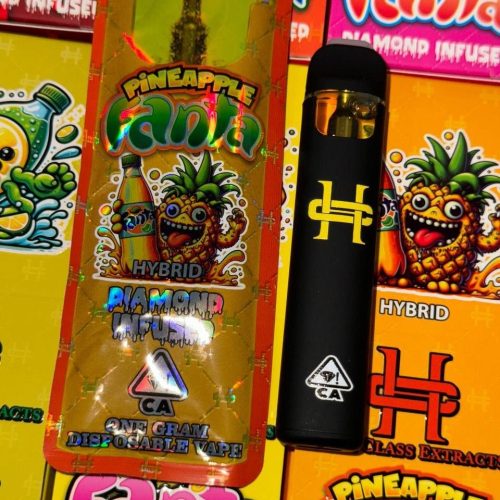 HIGH CLASS EXTRACTS 1G DISPOSABLE