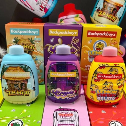 BACKPACK BOYZ 2G DISPOSABLE