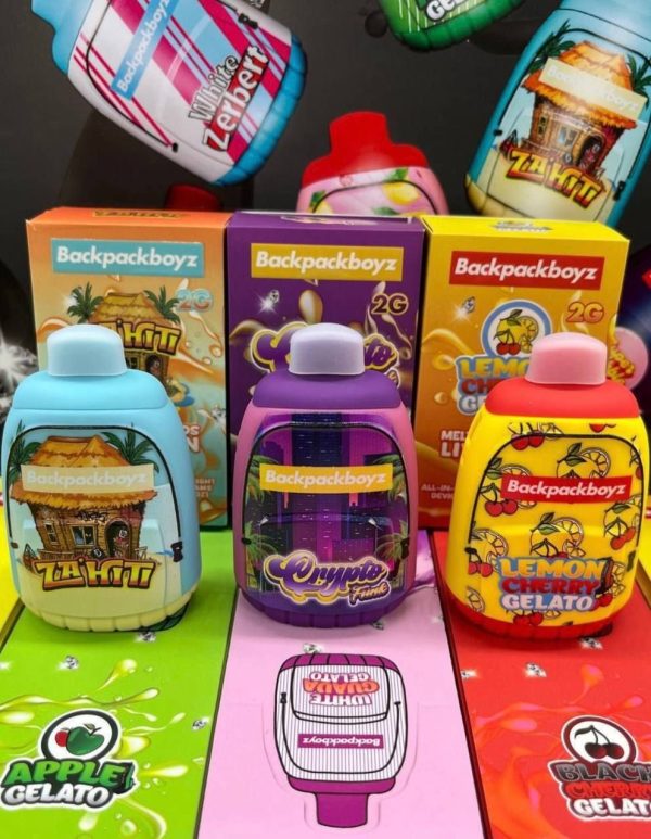BACKPACK BOYZ 2G DISPOSABLE