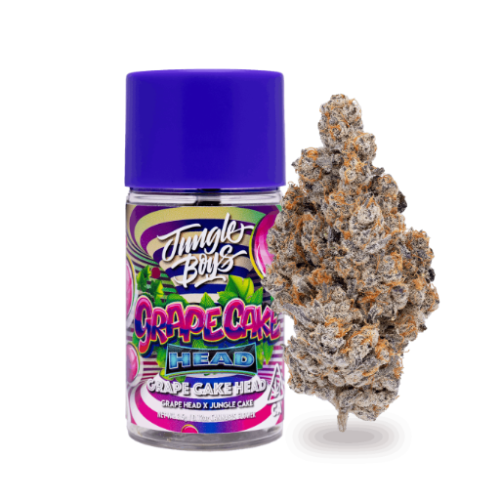 Jungle Boys | Grape Cake Head – 3.5g Jar