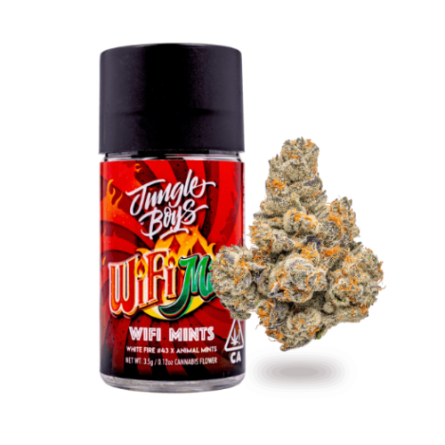 Jungle Boys | Wifi Mints – 3.5g Jar