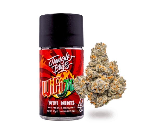 Jungle Boys | Wifi Mints – 3.5g Jar
