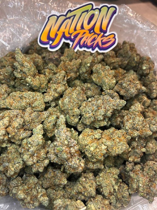 Viper Cookies Strain