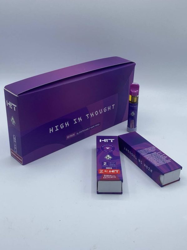 HIGH IN THOUGHT 2G DISPOSABLE