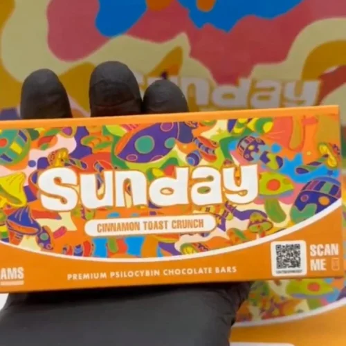 SUNDAY MUSHROOM CHCOLATE BAR