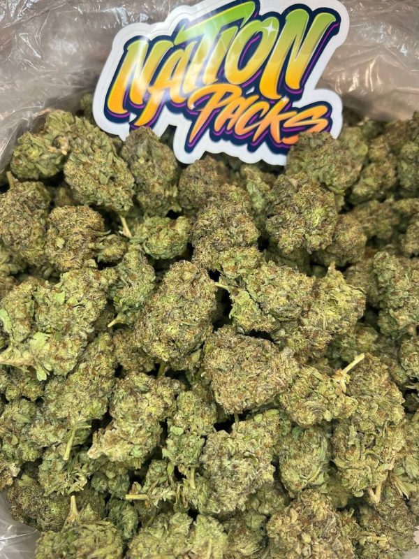 Russian Cream Strain